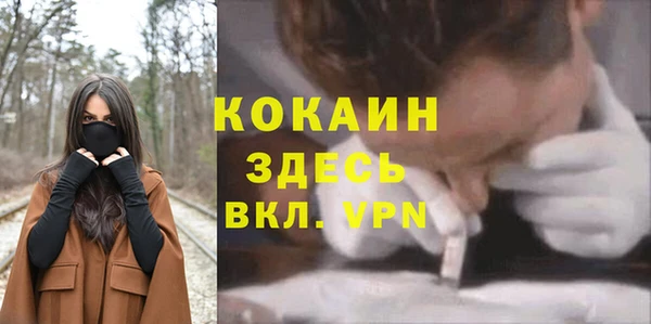 СК Гусь-Хрустальный