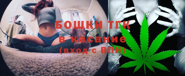 СК Гусь-Хрустальный