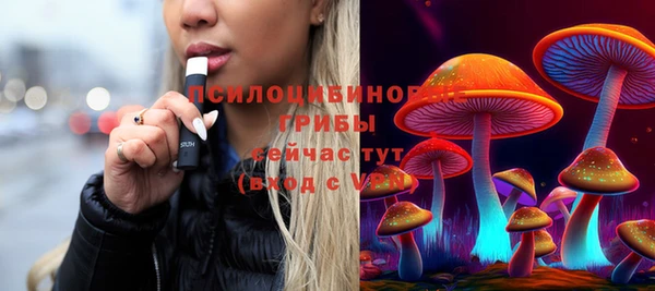 СК Гусь-Хрустальный