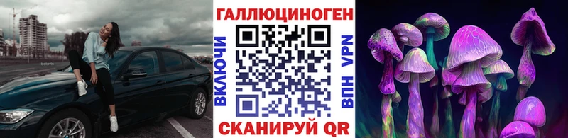 MEGA ССЫЛКА  Тайшет  Псилоцибиновые грибы Psilocybe  где можно купить наркотик 