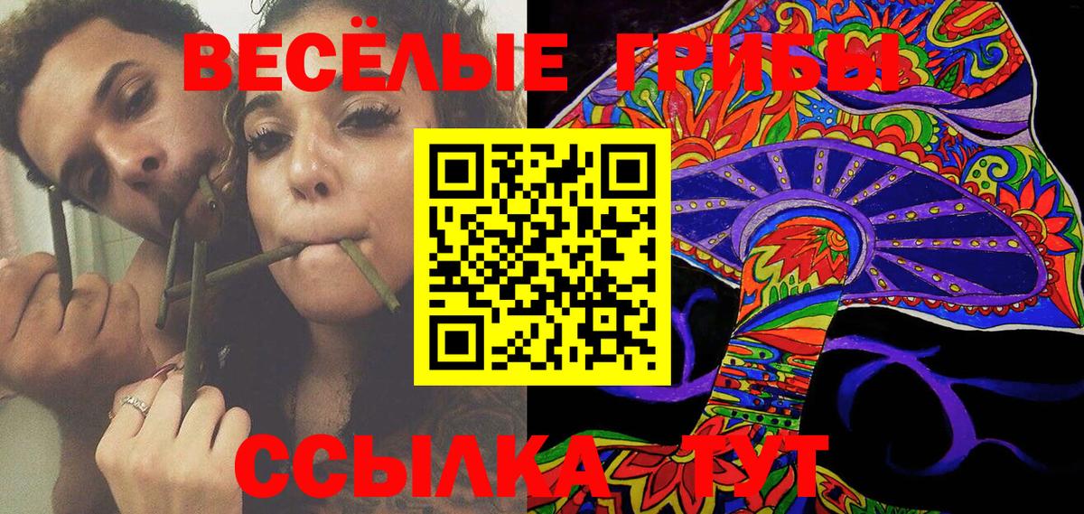 Галлюциногенные грибы Magic Shrooms  Вход с VPN  Тайшет 